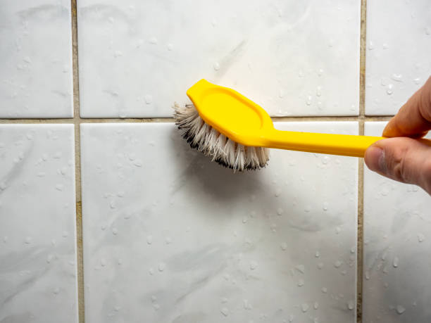 Best Mold Testing  in Independence, OR