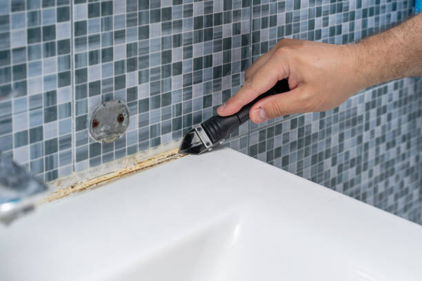 Home Mold Removal in Independence, OR