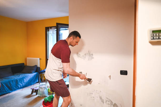 Professional Mold Removal in Independence, OR
